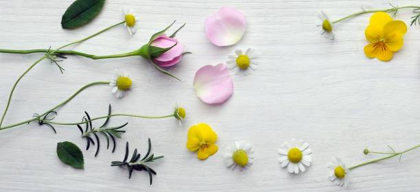 istock spring flower and herbs on the woody plate. 2029661783