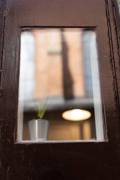 Window in the Door