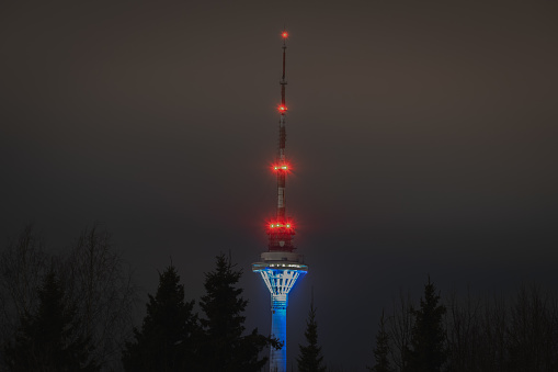 Night scene, Tallinn TV tower glows in the dark, spruce trees in the foreground. High quality photo