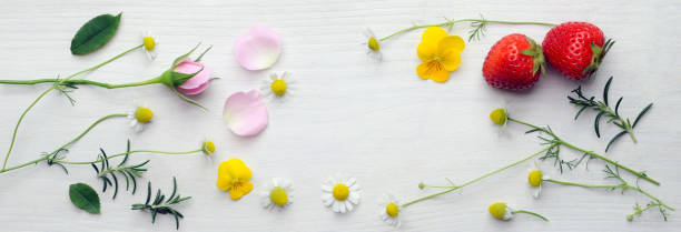 spring flower and herbs on the woody plate.