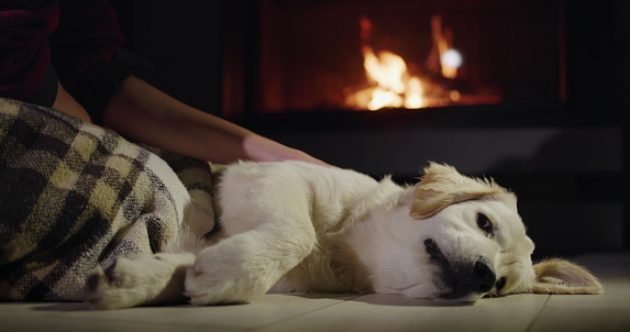 Woman and cute golden retriever puppy resting near a burning fireplace.