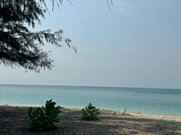 istock The sea on Samar San island 2029718072