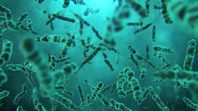 Floating bacteria microscopic 3d animation on green background