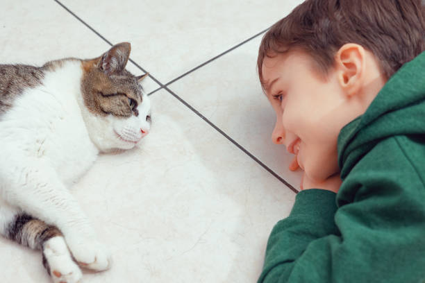 The little boy hugged the cat to himself.