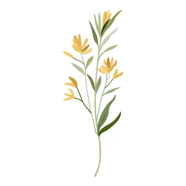 Vector illustration of Yellow wildflower