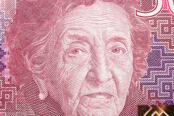 istock Maria Rostworowski a closeup portrait from Peruvian money 2029730944