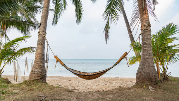 istock A hammock tied to a coconut tree on the beach 2029736864