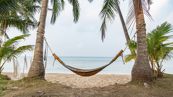 A hammock tied to a coconut tree on the beach of Koh Mak, Trat Province, Thailand.