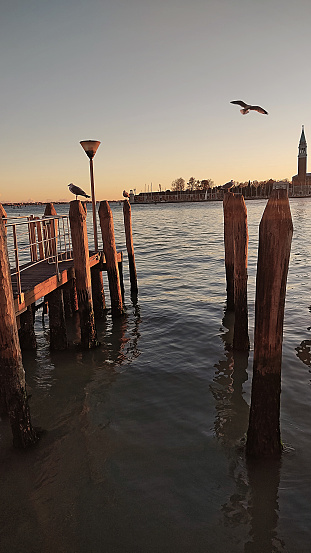 sea ​​in front of Piazza San Marco with Giudecca island and seagulls and briccole  at sunset