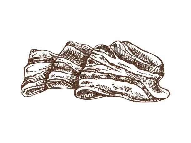 Vector illustration of Hand-drawn vector sketch of hamon or pork meat, ham slice. Italian prosciutto vintage sketch. Butcher shop. Great for label, restaurant menu. Engraved image.