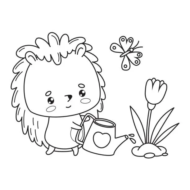 Vector illustration of Cute hedgehog gardener with butterfly and garden watering can waters flower. Vector illustration. Animal outline kawaii character. Line drawing, coloring book. Kids collection.