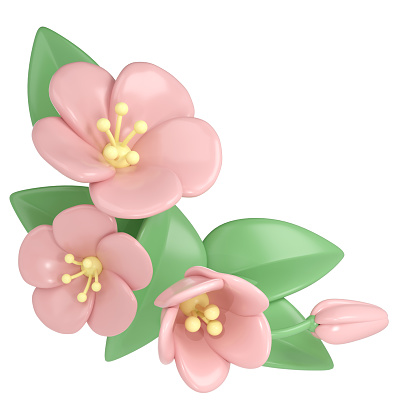 3d pastel pink corner divider cherry flowers, botanical spring arrangement, floral clip art, bouquet element decor illustration.