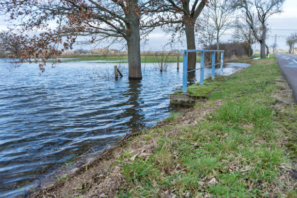 istock Flooded meadows in the Altmark 2029830194
