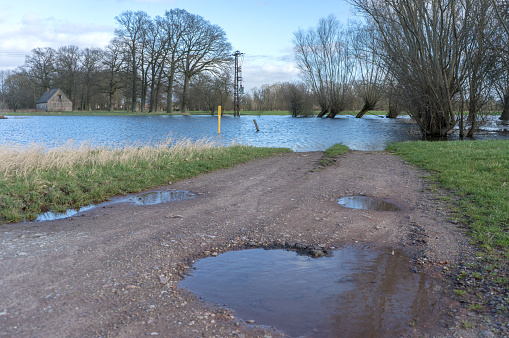 Flooded meadows in the Altmark, Saxony-Anhalt, Germany