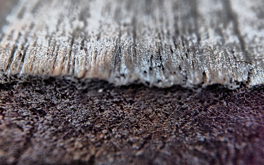 Macro shot of old wooden surface. Shallow depth of field.