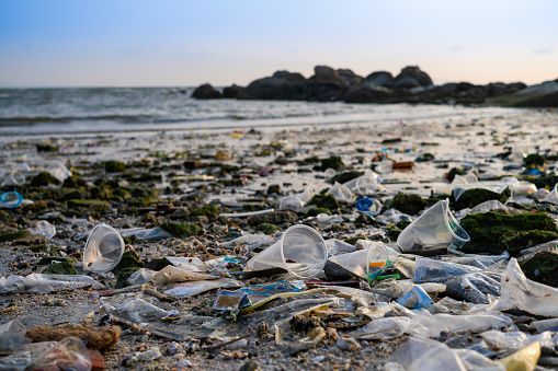 Beach debris, plastic cups and plastic bags. Marine debris is one of the world's major environmental problems.
