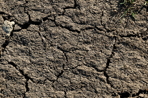 Dry cracked earth, global climate warming concept.