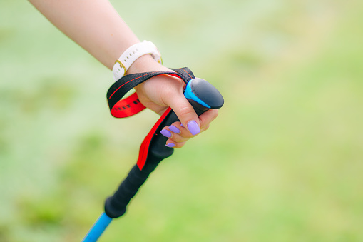 active woman's hand holds sticks and is engaged in Nordic walking.