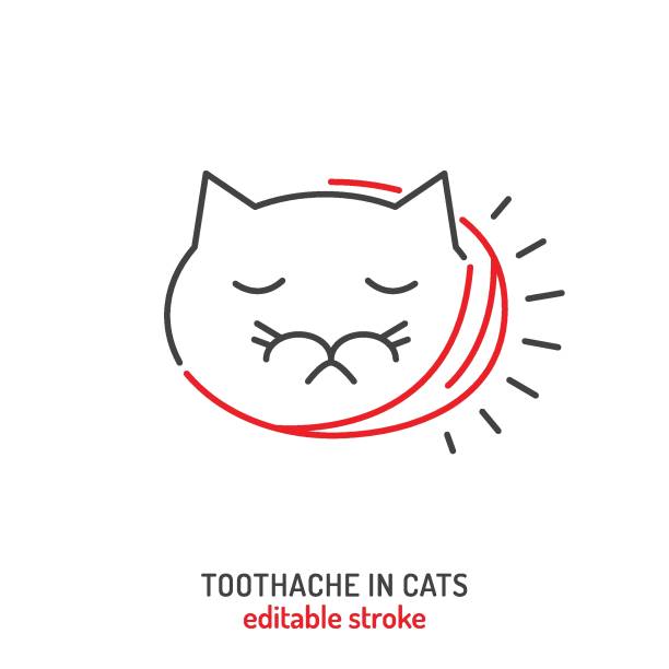toothache in cats. linear icon, pictogram, symbol. - vet symbol dentist healthcare and medicine stock illustrations