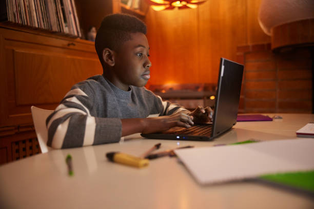 istock Evening Studies: Child Engaged in Nighttime Learning with Computer in Living Room 2029905137