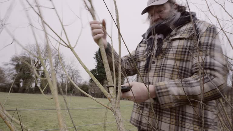 The Making of a Willow Fence