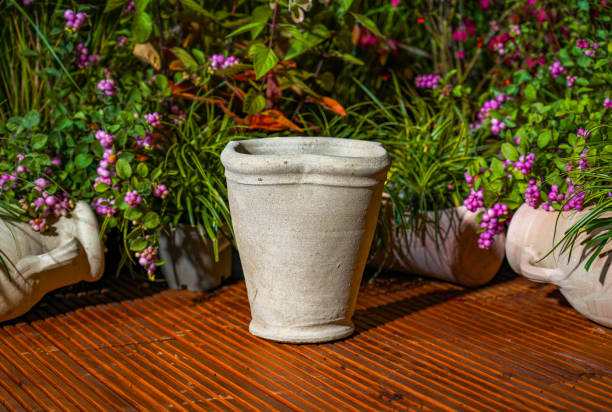 istock Earthen Clay Pot Tunisian Ceramic Terracotta at flowers decorations background 2029931995