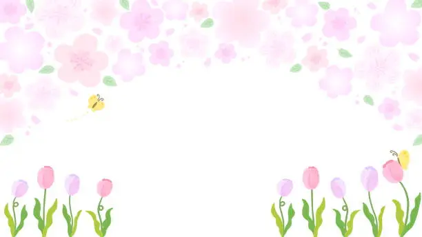 Vector illustration of Sakura and tulip background frame inspired by spring, stylish hand-drawn illustration