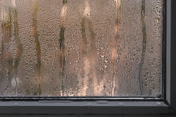 istock wet window glass due to high humidity 2029964889