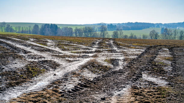istock Landscape with heavy traces of tractor wheels 2029968171