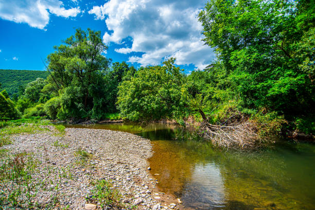 Visocica River, Balkan Mountain, Serbia