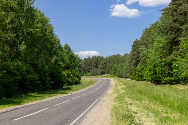 istock paved road with trees in the forest in sunny weather 2030029828