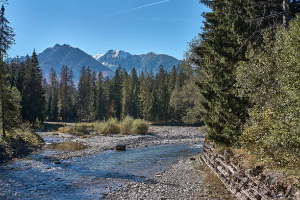 a Mountain river on the border between Poland and Slovakia