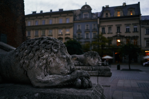 Statues of lions on the main square of Krakow in the evening