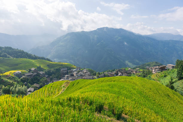 istock Terrace in Longsheng Guilin China 2030060472