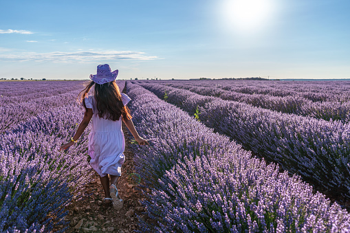Young girl running between lavender bushes in the  field. Brihuega, Spain.