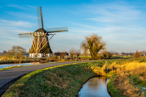Idyllic dutch scenery with historical windmill and an old willow tree