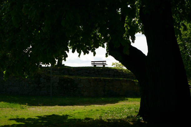 comfortable seats and tables in the park to relax