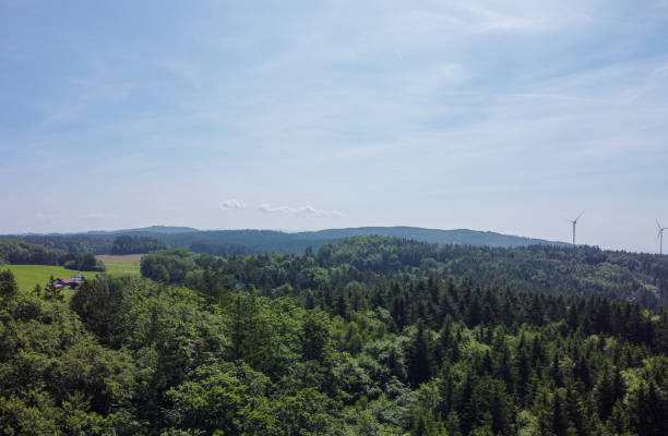 istock Aerial view of the forest and meadows and fields 2030117365