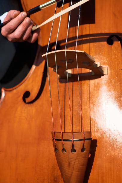 istock The double bass strings cast a shadow on the smooth surface of the instrument 2030180859