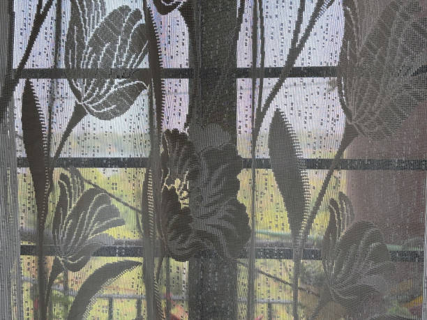 Elegant Lace Curtain Pattern Against a Window Offering a Glimpse of Nature Outside