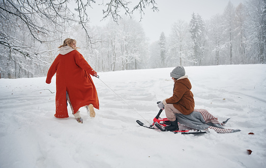 A woman pulls a sled. Mother and her daughter is on the winter meadow and forest.