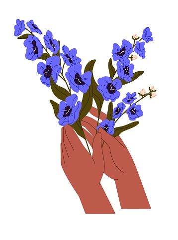 Female hands with posy of delphinium. Woman holds elegant bouquet of meadow plants with blue petals. Beautiful blossom, floral gift, cut flowers. Flat isolated vector illustration on white background.