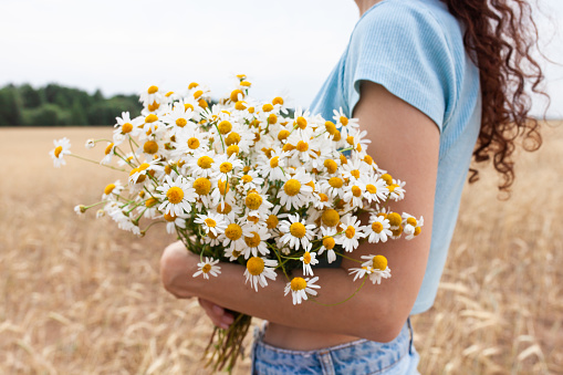 Close up of woman with bouquet of daisies in wheat field. Summer time, countryside, farmers products concept. Selective focus.