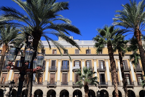 Placa Reial landmark town square with palm trees in Barri Gotic district of Barcelona, Spain. Ornamental iron street lamp.