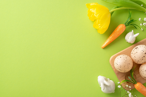 Lively Easter concept. Overhead image of eggs in a wooden box, carrots meant for the Easter bunnies, gypsophila, and tulip laid out on a green canvas, space reserved for text or ads