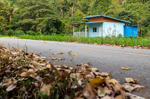 Low angle view of a small blue house nestled amidst a forest on the edge of a mountain near a paved road with clumps of dead leaves piled on the side in a rural Thai area.