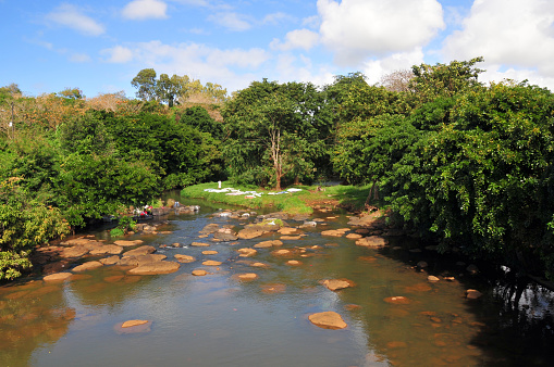 Mahébourg, Grand Port District, Mauritius, Mascarene Islands: river and lush vegetation and river washed clothes drying on the ground - Rivière des Creoles river, seen from the bridge on the B28 coastal road, border between Petit Bel Air and Rivière des Creoles village.