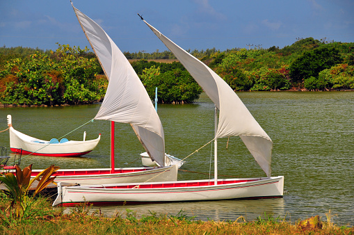 Mahébourg, Grand Port District, Mauritius, Mascarene Islands: traditonal Mauritian pirogues with sails in the wind, seen with mangrove forest in the background.