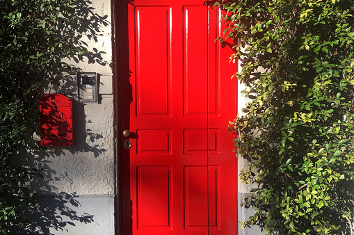 Colorful building, green door red walls and beautiful yellow flowers on a tree. Bright colors, simple  concept, mistery door. Vertical photo.