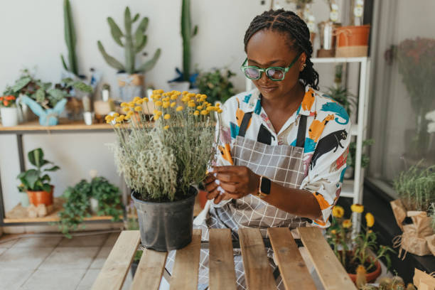 istock Floral Radiance Unveiled 2030301514